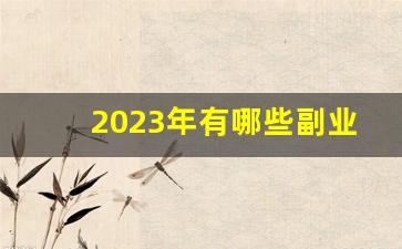 2023年有哪些副业可以做_代充plus 赚钱